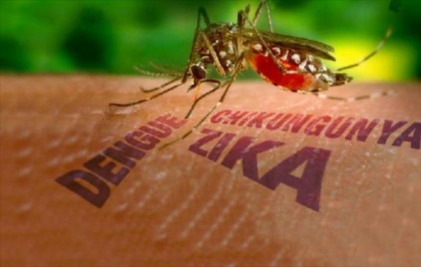 Salud refuerza las acciones preventivas para evitar casos de dengue, zika y chikungunya