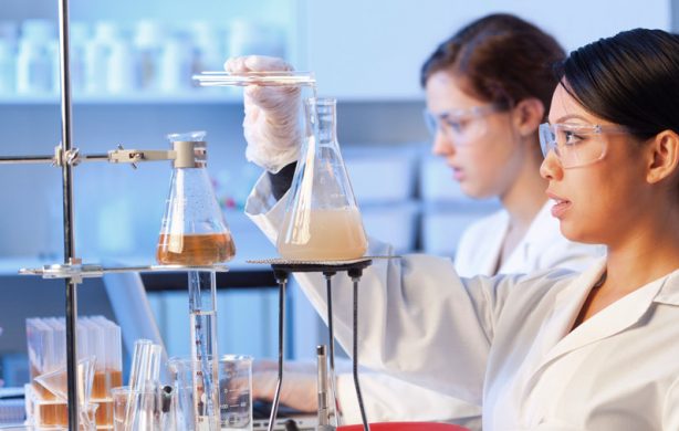 Cursos Online: oferta Académica Segundo Semestre 2018