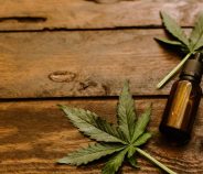 El debate sobre la regularización y control de la producción de aceite de cannabis