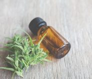 Mitos y Verdades sobre el cannabis de uso en medicina. La importancia del cannabis farmacéutico