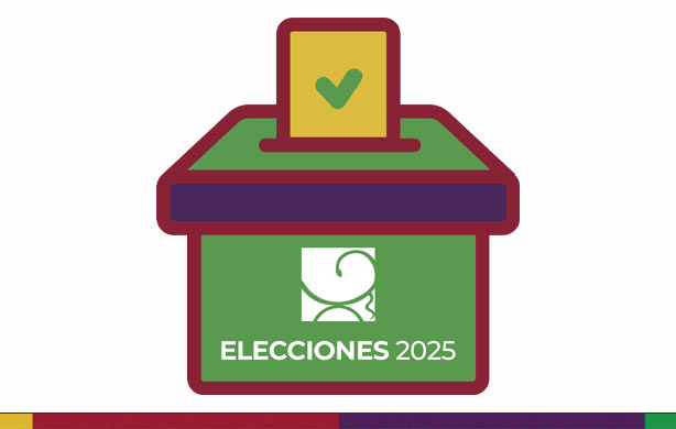 ELECCIONES 2025