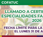Convocatoria llamado a certificación de especialidades 2026